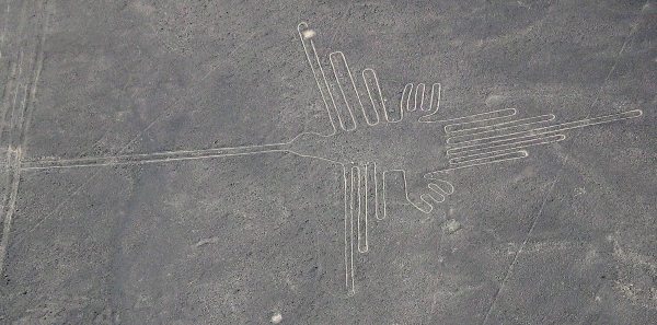 Nazca-Colibri