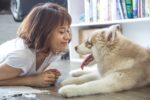 How To Protect Your Pooch from Everyday Dramas