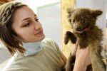 Choosing the Right Vet For Your Pet