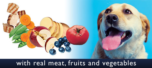 Basic Nutrition for Optimum Health for Pets