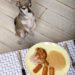 Teach Your Dog Table-Side Manners