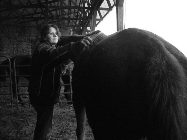 Horse Grooming. Photo by Neversky. License: CC BY 2.0.